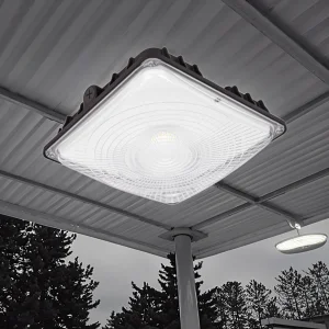 ETL Listed Outdoor LED Canopy Light