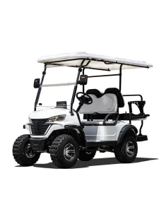 Hot Selling Buggy