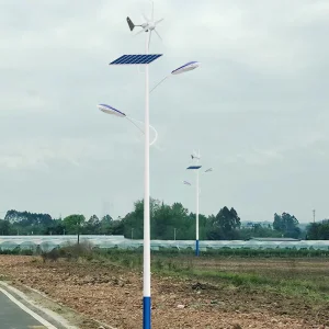 Wind Solar Street Light
