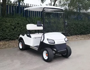 CE DOT Mini Golf Cart