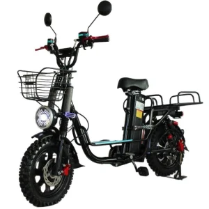 48V Cargo Ebike