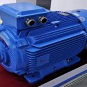 Oil and Gas Motor