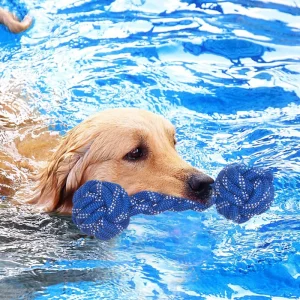 Rena Pet Floating Interactive Dental Cleaning Chew Strong Durable with TPR Cotton Rope Dog Toy