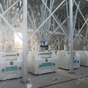 Wheat Flour Processing Equipment Line with Cleaning Tempering Milling Packing