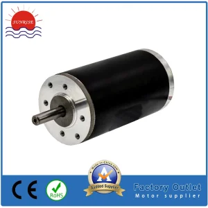 24V Brush Motor