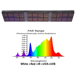 Replace 1000W HPS