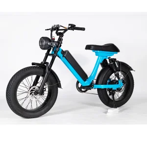 Convenient Light Electric Bike for Adult Commuter Customizable Colors