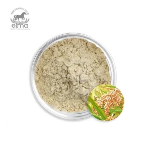 Elma Food France Rice Protein Powder