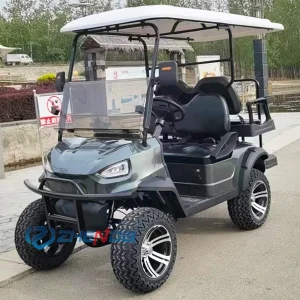 CE Certified Golf Cart