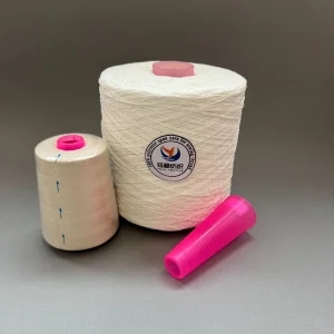 Heat Set 100% Spun Polyester Yarn for Sewing Thread Tfo RW on Dyeing Tube 22/6