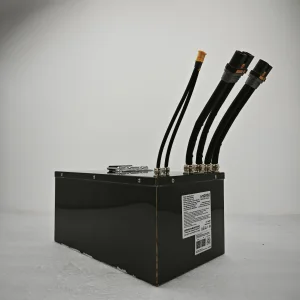 Custom LTO Battery Pack