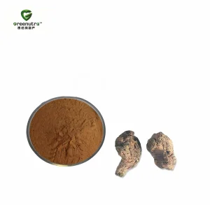 Radix Rehmanniae Extract Powder