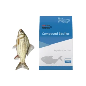 Compound Bacillus, Aquaculture Fish, Shrimp and Crab Pond Water Conditioning, Water Purification, Fertilizer and Ammonia Nitrogen Reduction Probiotics