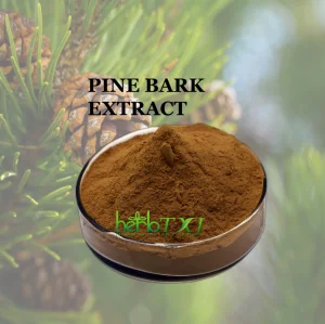 French Maritime Plant Extract Capsules