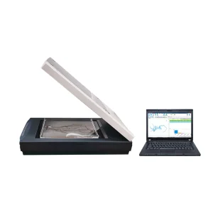 Plant Root Phenotype Analysis System