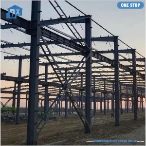 Steel Frame Workshop