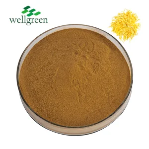 Factory Supply Chrysanthemum Indicum Flower Extract 10% Flavonoid