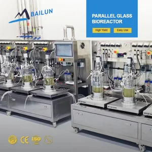 Bio-2l 7l 10l Jacket Glass Fermenter And Bioreactor Schizochytrium Sp. Anaerobio Borosilicate Glass