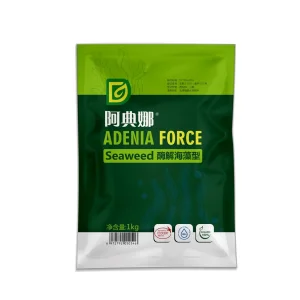 Seaweed Fertilizer Factory