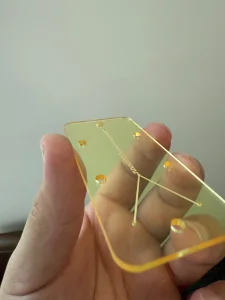 Nagoya Toxicology Chips