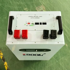 ODM 51.2V LiFePO4 Battery 5kWh/10kWh - China Suppliers, Factory OEM & OBM, Over 8000 Cycles for Home Energy Storage Suppliers, Factories
