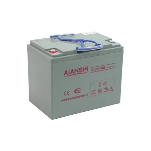 AGM Battery