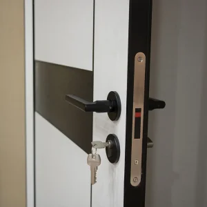 Invisible Door Modern Interior