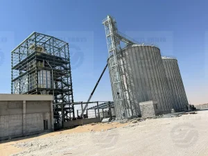 Complete 20tph Industrial Feed Mill Plant with Steel Structure &amp; Silos