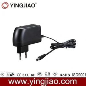 30W CE Power Adapter