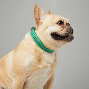 Custom Luxury Soft Leather Dog Collar