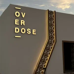 Discount Business Stainless Steel Frontlit Outdoor Storefront Sign Custom Logo Factory, Exporters