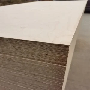 Premium Outdoor Birch Plywood with Anti-Slip Black Film