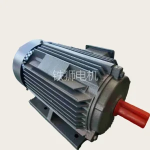 3-Phase Induction Motor
