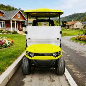 Customized 2-Seater Golf Cart