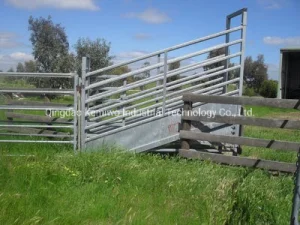 Livestock Ramp