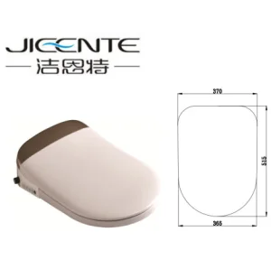 Smart Seat of Toilet Electric Toilet Seat