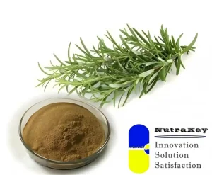 Natural Rosemary Extract 25% Carnosic Acid Food Grade Antioxidant Herbal Powder Bulk Supply