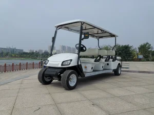 Custom Chinese Wholesale Luxury Lithium 48V 6 Seat Seater Golf Buggy Electric Golf Cart Carts Manufacturer