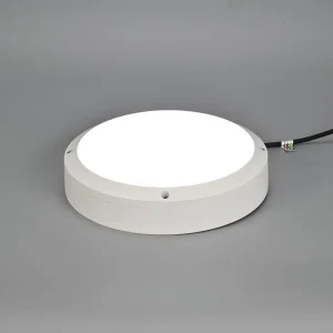 Energy-Efficient LED Ceiling Light with Motion Sensor
