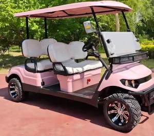 Sdlanch Brand New CE Certified Electric Offroad Golf Cart Golf Buggy Car Sightseeing Car Hunting Cart Utility Cart with 4 Seats for Factory Resort Shuttle Golf