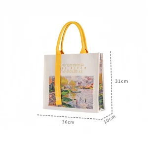 China Recyclable Biodegradable Tote Bag