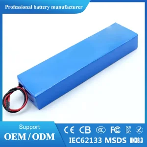 OEM Lithium Ion Battery