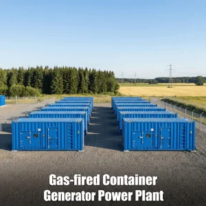 Biogas Syngas Silent Type Generator Gasgenerator Unit With Trigeneration Auto Synchronization Particulate Filter Industrial Use