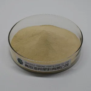 Plant-Based Amino Acid Powder