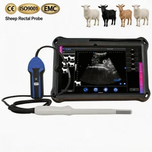 Vet Ultrasound