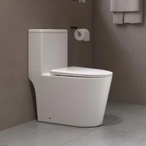 Washdown Tornado One Piece Ptrap/Strap 250mm Ceramic Toilet for Middle East