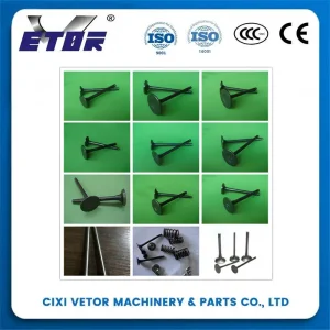GL-125 motorcycle valve