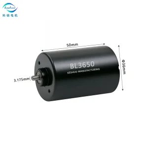 3650 Brushless DC Motor 12V