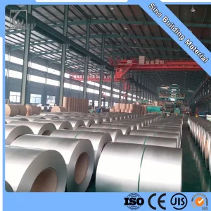 Galvanized Steel Coils