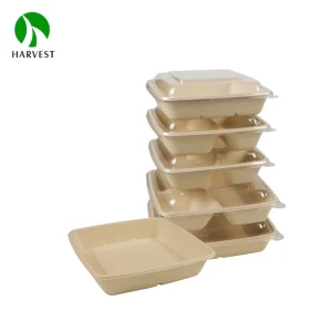 Eco Friendly Food Packaging Square Bagasse Takeaway Food Containers Sustainable Biodegradable Plates